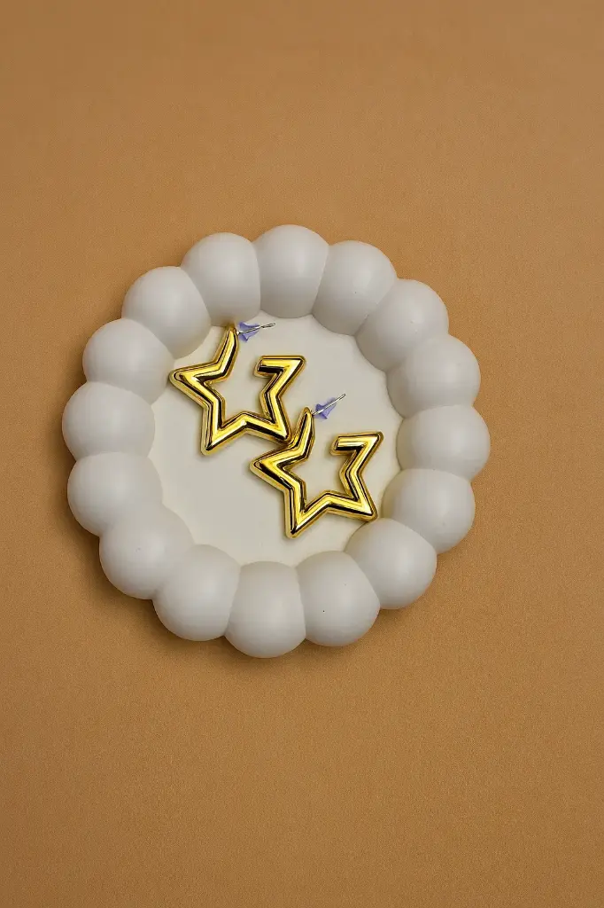  ✨ Stylish Star-Shaped Earrings 