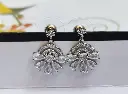 Elegant Fan-Shaped Drop Earrings